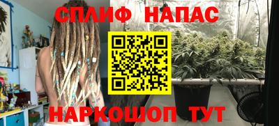 дмт Обнинск