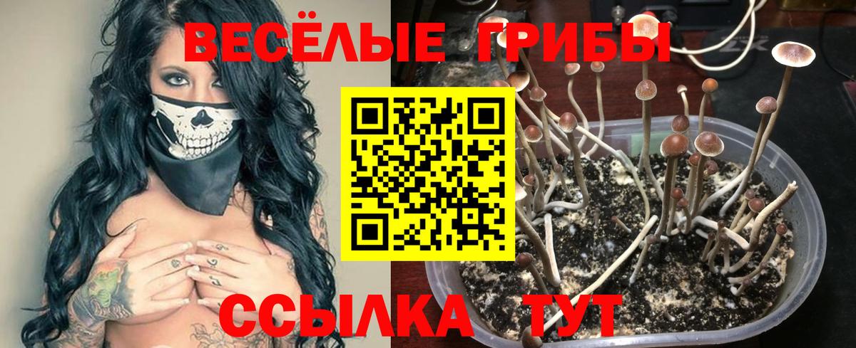 Феодосия  Галлюциногенные грибы мицелий  Вход с VPN 